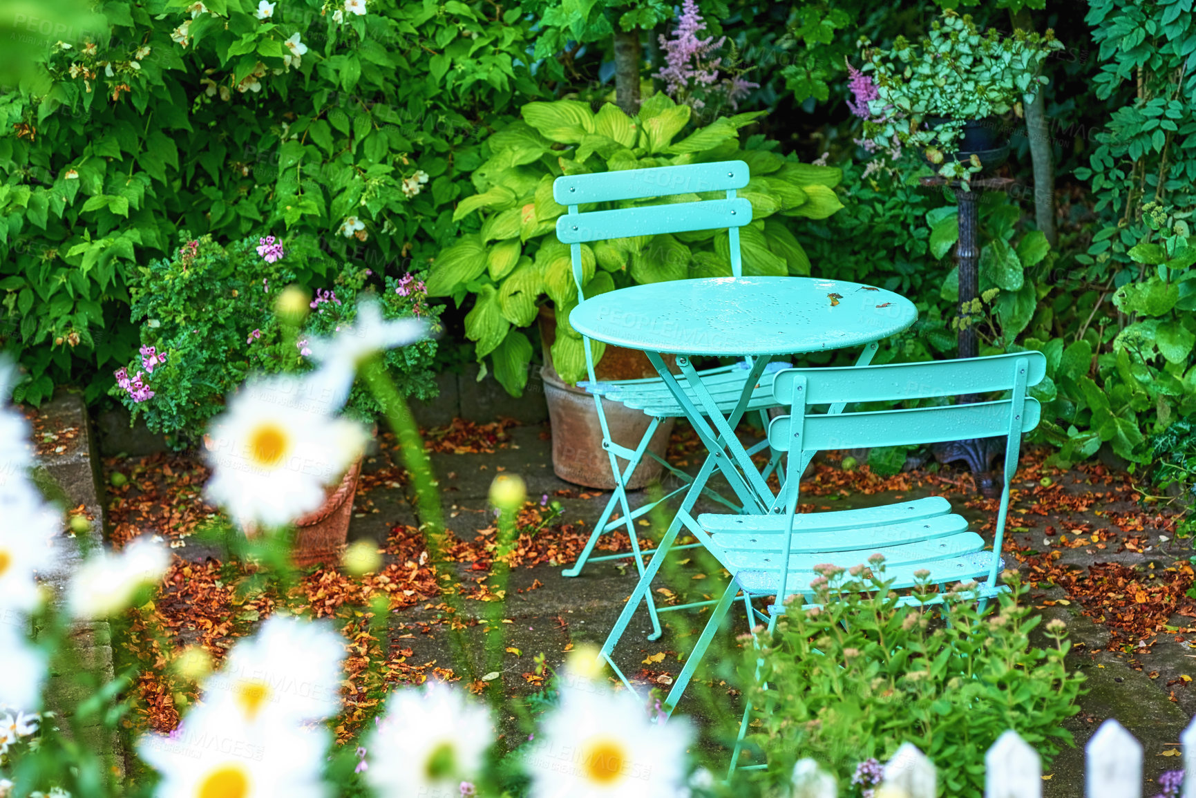 Buy stock photo Summertime - My private spot in the garden