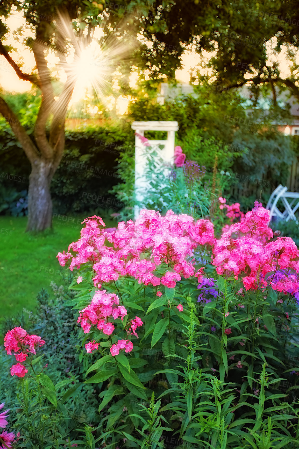 Buy stock photo Garden, home and flowers with leaves for landscaping with spring growth, blooming season and ecology. Botanical design, plants and eco friendly backyard for sustainability, gardening and environment