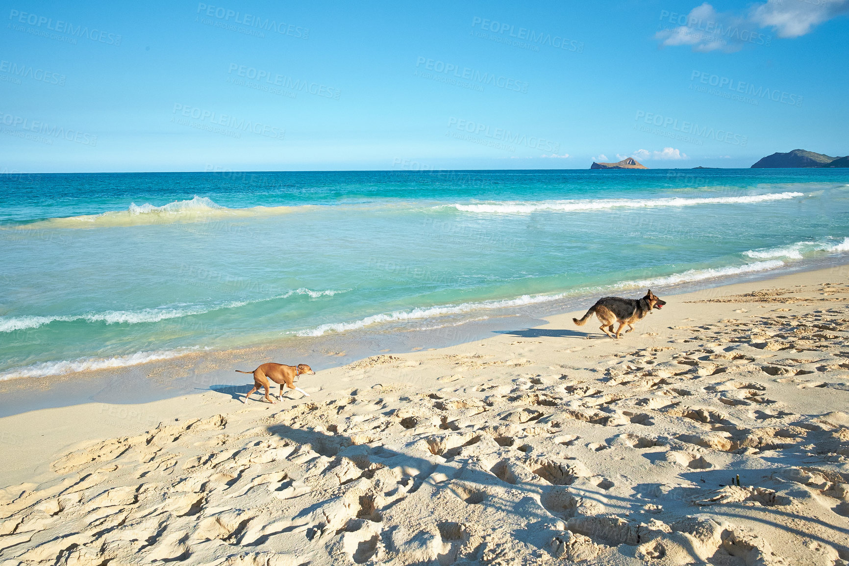 Buy stock photo A series of photos of ocean, beach and coast