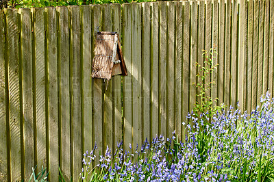 Buy stock photo A wooden birdhouse and wall background with light and beautiful flowers. Dry nesting environment, placed on a garden railing near the house blossom. Fixed to the wood fence near blossom by plants