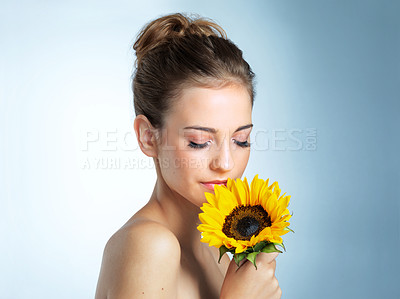 Buy stock photo Studio shot of a beautiful young woman smelling a sunflower