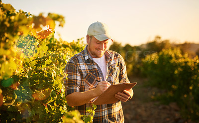 Buy stock photo Shot of a happy farmer making notes on a clipboard while standing in a vineyard