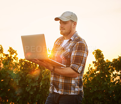 Buy stock photo Farmer typing on a laptop outdoors using the internet to plan a harvest and crop growth on a vineyard farm. An agriculture expert using technology to manage his organic and sustainable produce