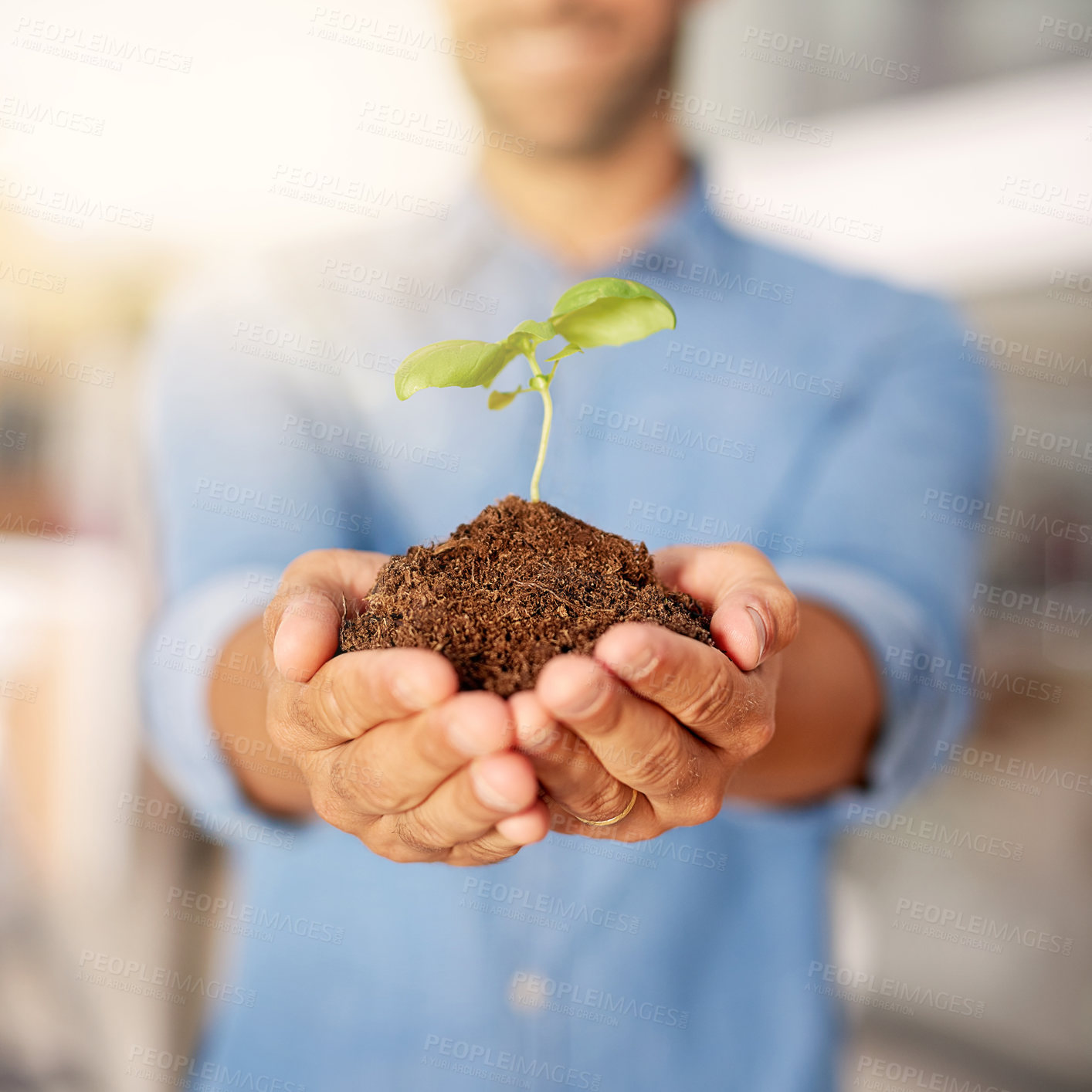 Buy stock photo Startup, plant or soil in hands of person with growth for sustainability, development or eco friendly environment. Carbon footprint, sand closeup or businessman with care or leaf in dirt or nature