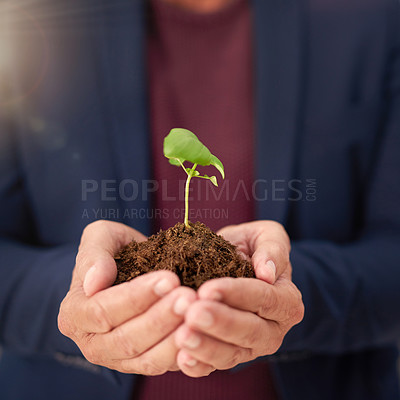 Buy stock photo Soil, hands and business person with plant for company growth, investment or startup development. Closeup, hope and palms of employee with fertiliser for profit, sustainability or opportunity