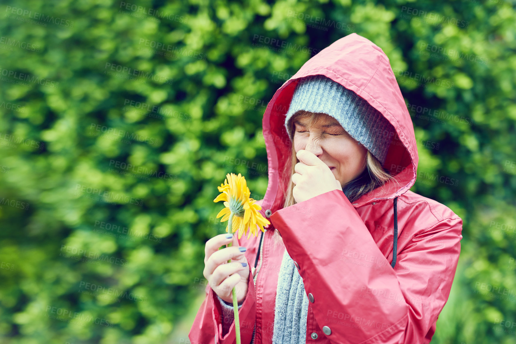 Buy stock photo Cropped shot of a young woman smelling a flower  and sneezing outdoors