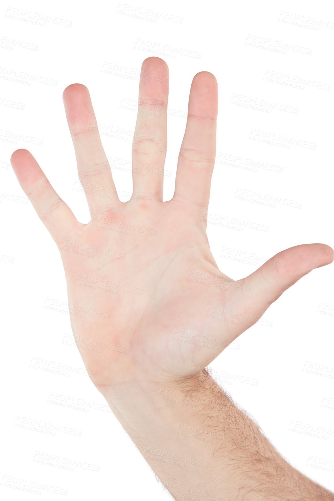 Buy stock photo Closeup hand, palm and high five by white background with sign language, communication and stop warning. Isolated hand sign, wave and hello with fingers for friendly greeting, support or motivation