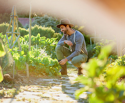 Buy stock photo Shot of a young man tending to the crops on a farm