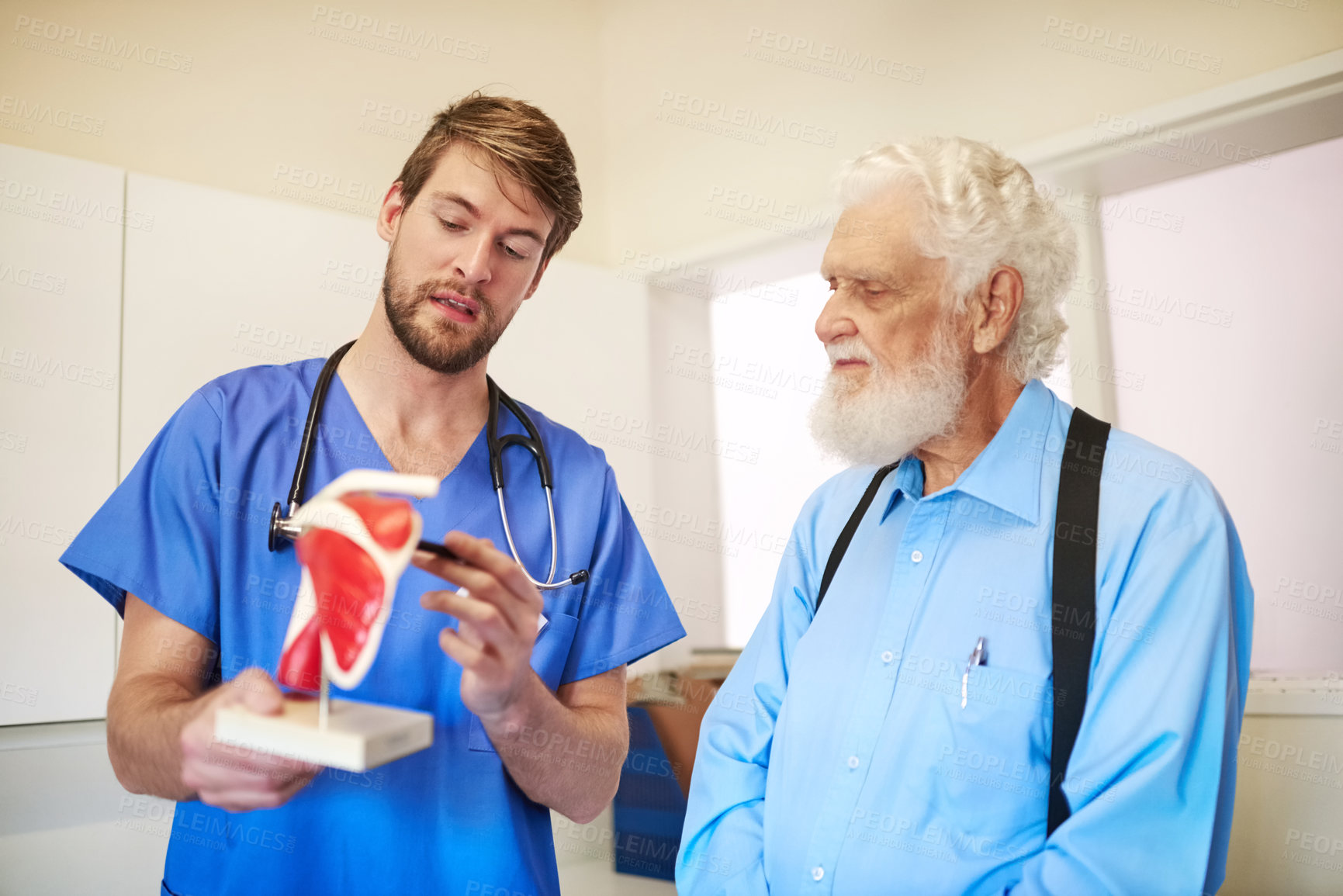 Buy stock photo Muscle, model and doctor with senior patient for demonstration for surgery, diagnosis and consulting. Healthcare, hospital and person with man for knee replacement, joint recovery and medical service