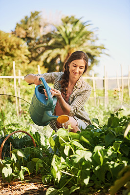 Buy stock photo Shot of a happy young farmer watering herbs with a watering can on her farm