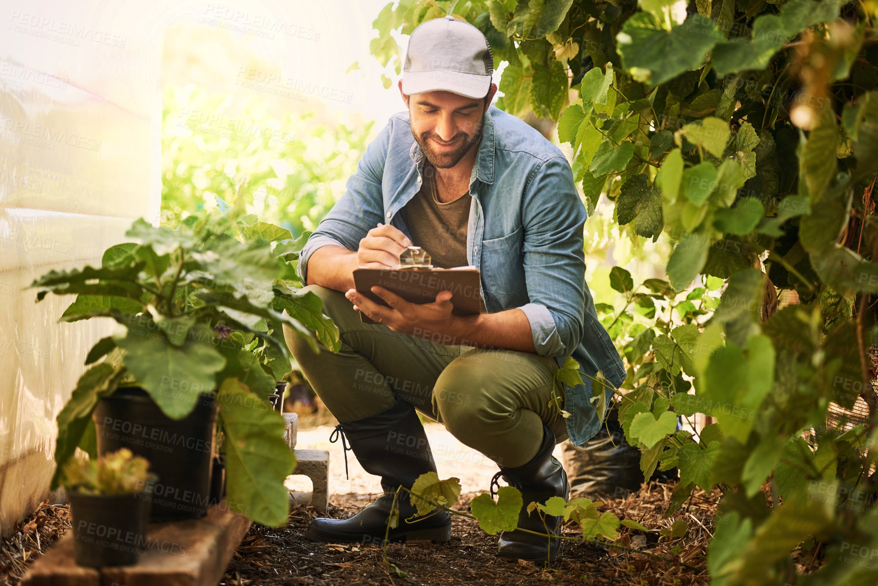 Buy stock photo Man, agriculture and plant on farm with clipboard for growth, quality assurance or crop production. Farmer, inspection and agro food business with sustainability or ecology in countryside for harvest