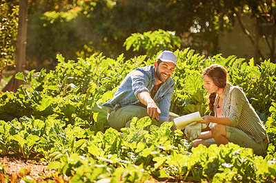 Buy stock photo Shot of two happy young farmers working together in the fields on their farm