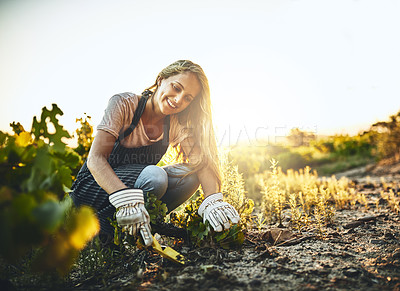 Buy stock photo Woman, soil and plants with smile at farm for crops, agriculture and nature for job, food or vegetables. Girl, shovel and dirt for planting, garden or farming with happiness, start and sustainability