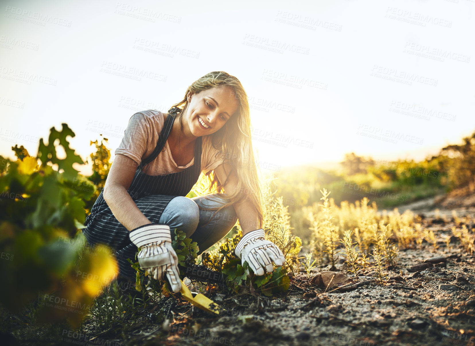 Buy stock photo Woman, soil and plants with smile at farm for crops, agriculture and nature for job, food or vegetables. Girl, shovel and dirt for planting, garden or farming with happiness, start and sustainability