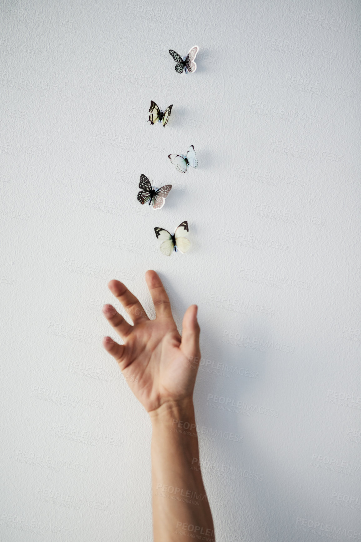 Buy stock photo Studio shot of a unrecognizable persons hand releasing butterflies into the air on a grey background