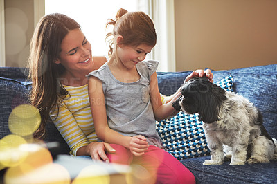 Buy stock photo Mom, girl and dog on sofa with smile for relationship trust and support for animal care in home. Happy child, woman and maltese on lounge couch for love connection and bonding together with scratch