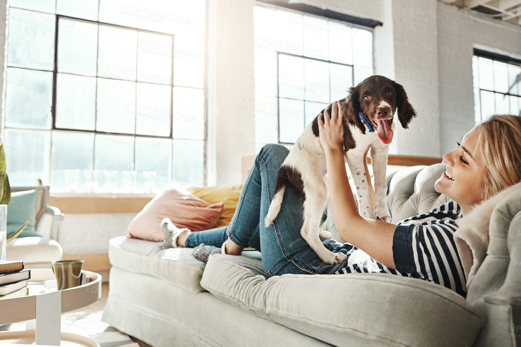 Buy stock photo Woman, sofa and lift dog in home living room for love, relax and pet friendship for smile, happy and quality time. Girl, couch and holding puppy in air for happiness, bonding and together in lounge