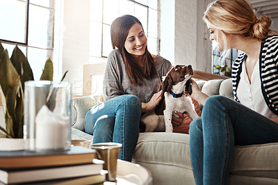 Buy stock photo Women, relax pet care and dog on sofa in living room for calm, peace and quality time with pets. Puppy, lifestyle happiness and animal care in home with female owners for love or support on couch