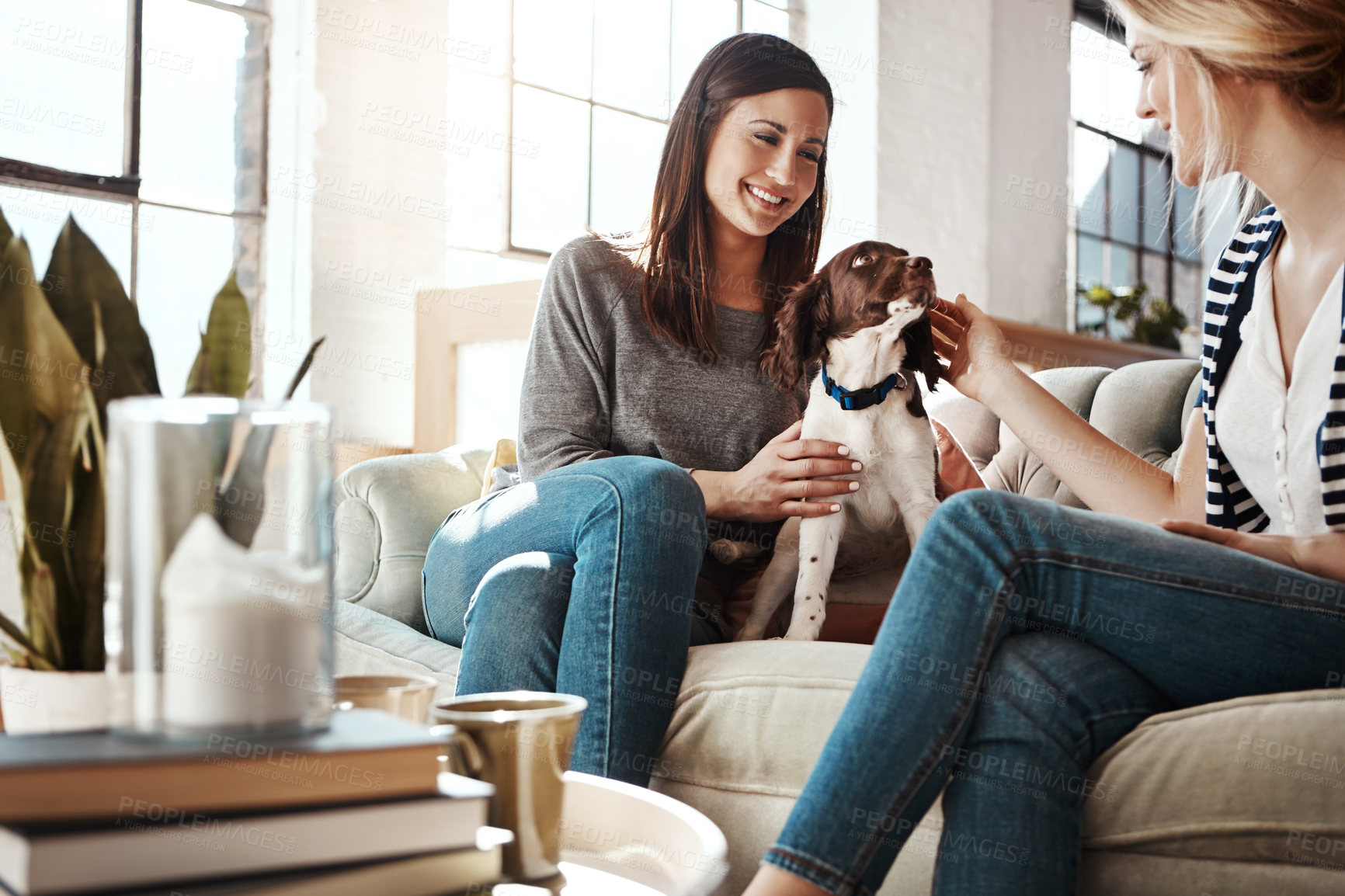 Buy stock photo Women, friends and relax with dog on sofa in living room for calm, peace and quality time with pet. Puppy, lifestyle happiness and animal care in home with female owners for love or support on couch