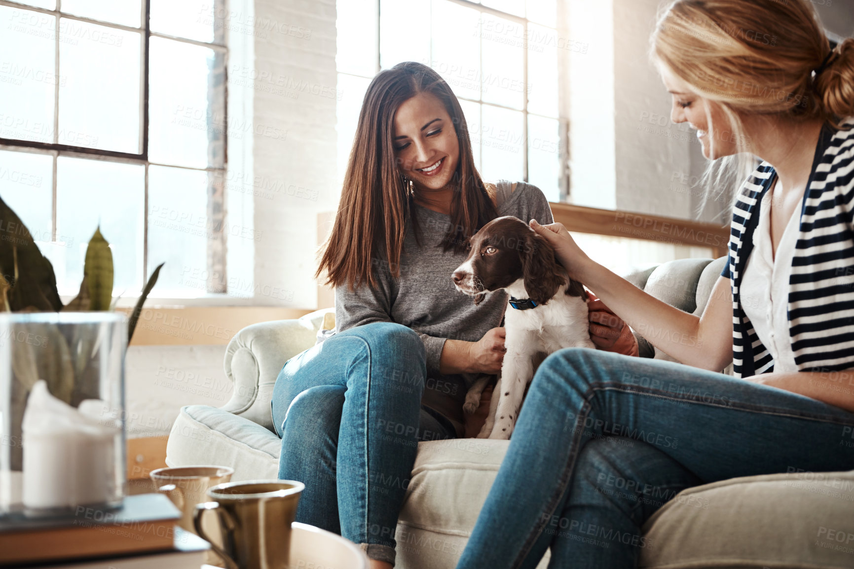 Buy stock photo Woman, dog love and friends on sofa in living room for calm, relax peace and quality time. Puppy, happiness lifestyle and animal care with female owners together for pets support on couch in home