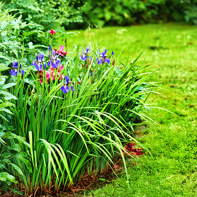 Buy stock photo A series of beautiful garden photos