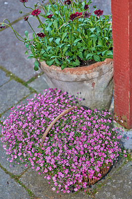 Buy stock photo A series of beautiful garden photos