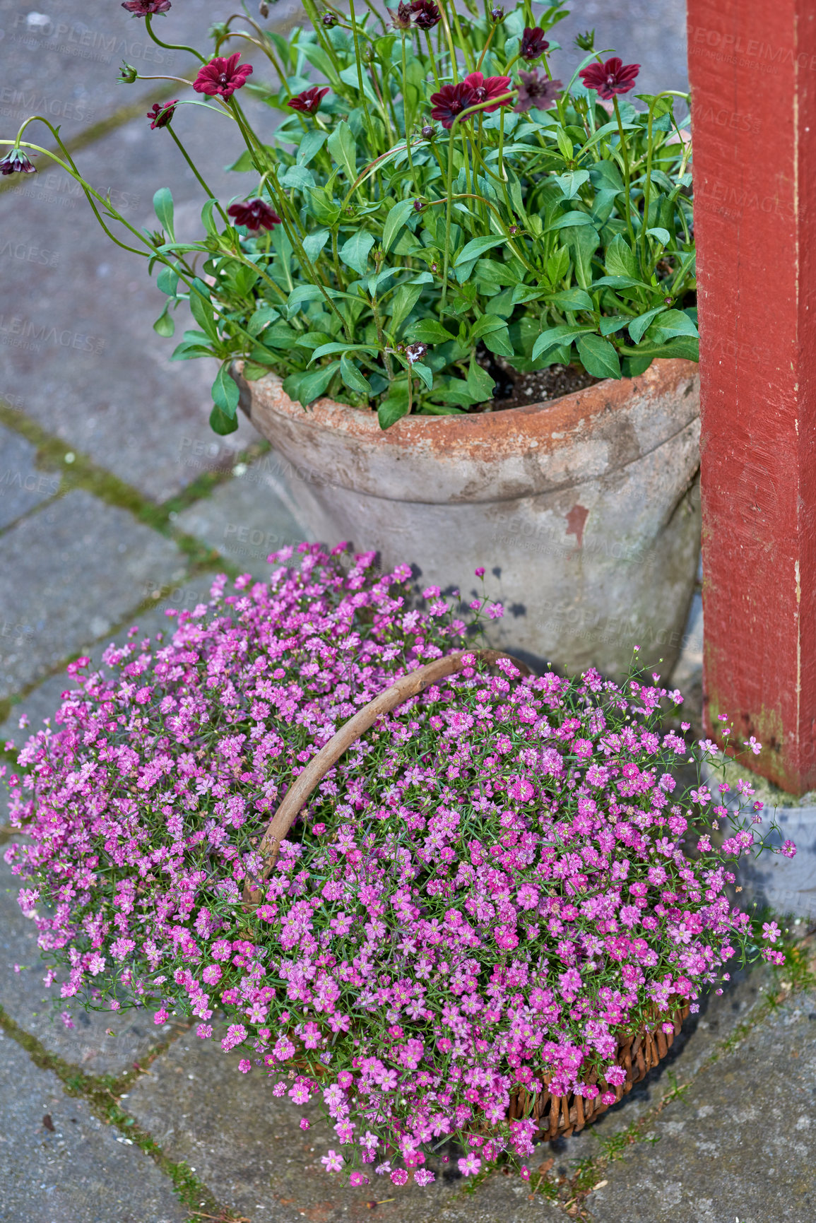 Buy stock photo A series of beautiful garden photos