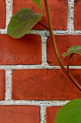 Buy stock photo A series of beautiful garden photos