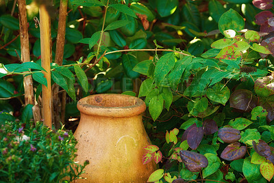 Buy stock photo A vintage old pot covered with green leaves. A brownish-colored vase is kept in the green lush in a garden. Clay pot surrounded by different types of plants with a green natural background.