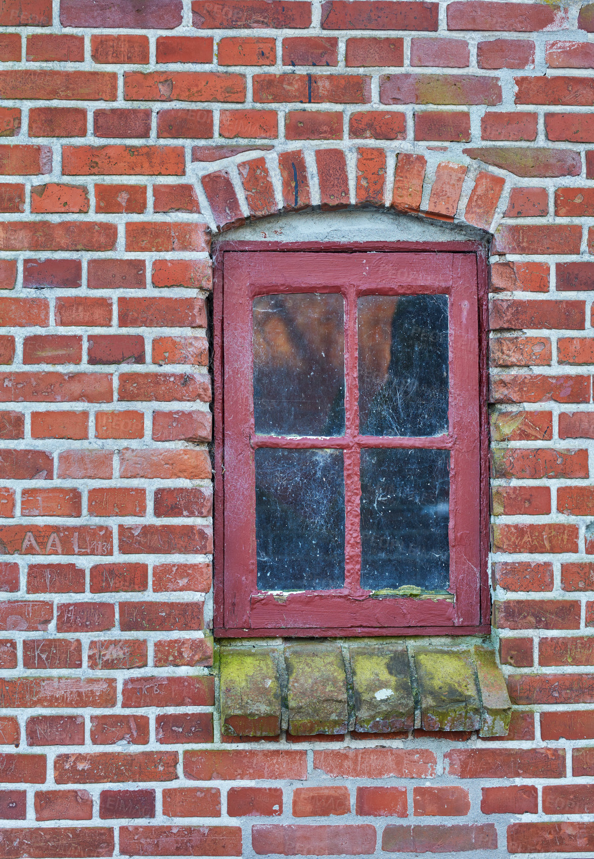 Buy stock photo Dirt, window and brick wall with moss of abandoned house, damaged property or old apartment. Empty, glass and architecture with fungal growth for weathered exterior, low maintenance or bad condition