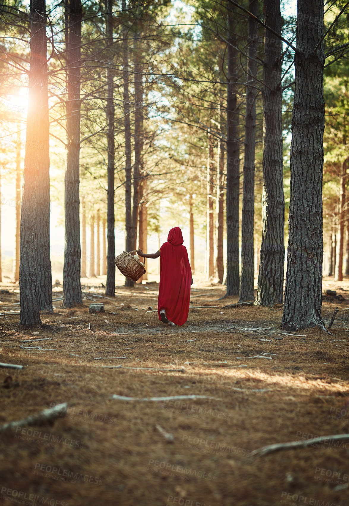 Buy stock photo Red, child and walking with basket in forest for fairytale cosplay character or girl dress up for creative fantasy. Woods, back or kid at park for travel, holiday and adventure outdoor with hood cape