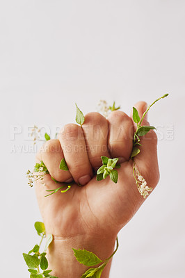 Buy stock photo Woman hand, holding plants and fist for eco warrior, fight and revolution for sustainability protest. White background, studio and person with leaf and green plant in hands for environment rally