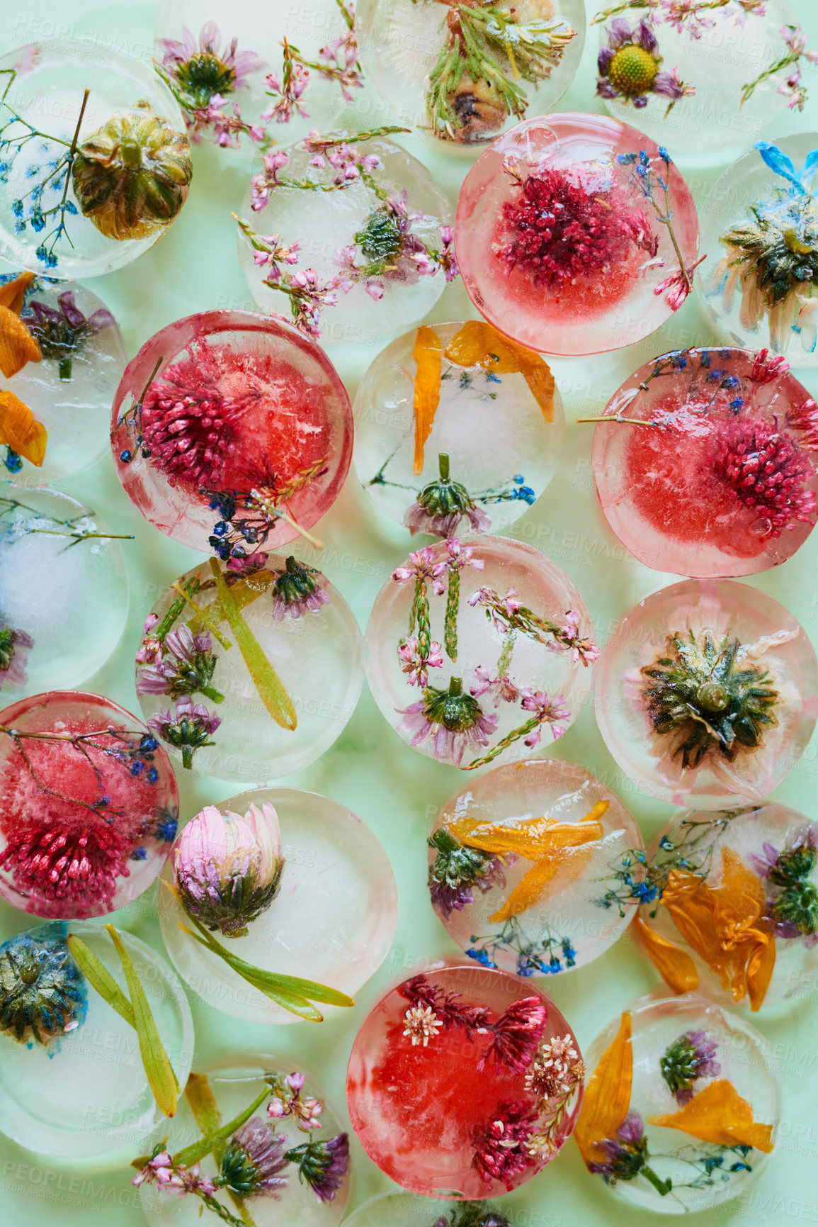 Buy stock photo Studio shot of flowers frozen into ice blocks