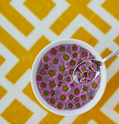 Buy stock photo High angle shot of a bowl full of pretty pink flowers