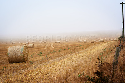 Buy stock photo Shot of straw bales on a farm with no people