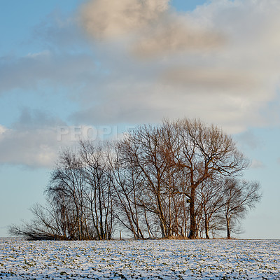 Buy stock photo Images from the Kingdom of Denmark