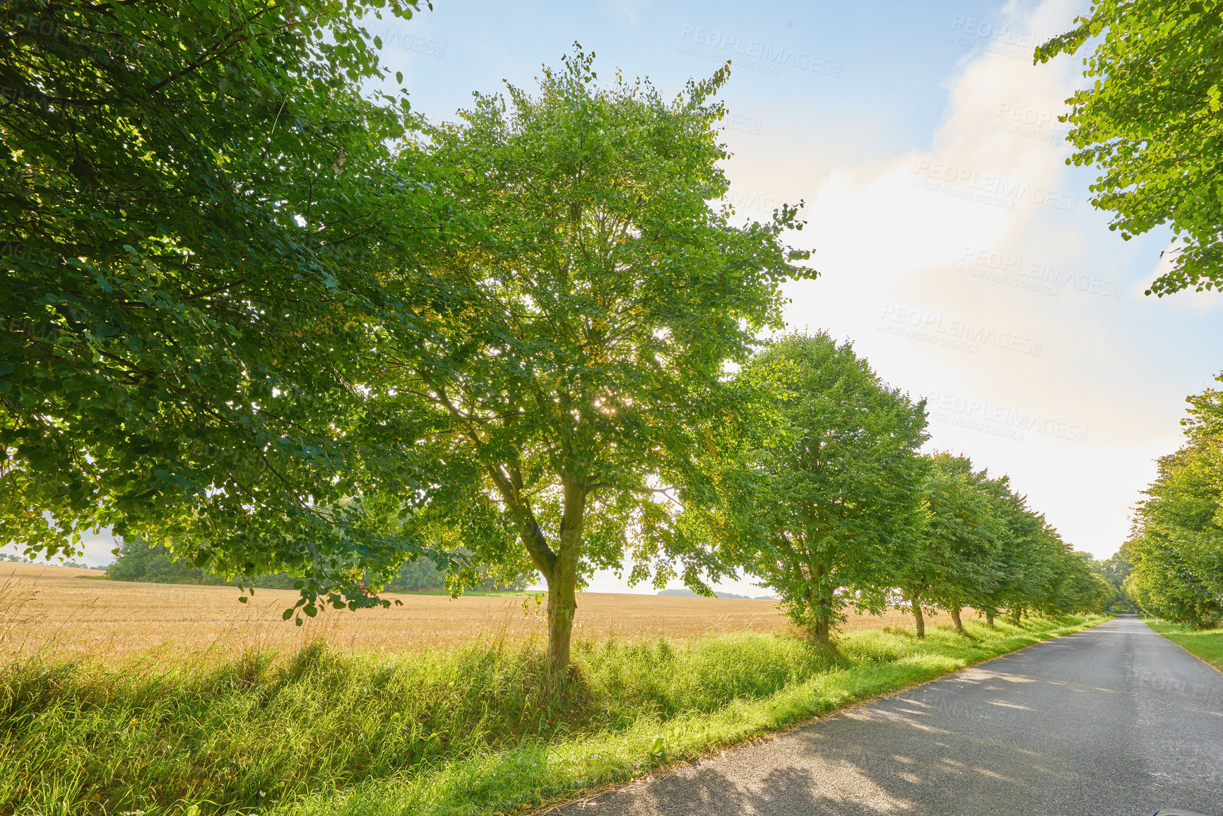 Buy stock photo Images from the Kingdom of Denmark