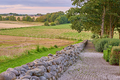 Buy stock photo Nature, grass and tree on field in countryside, meadow and environment for landscape scenery. Eco friendly, sustainable and natural land in spring with plants, leaves or ecology outdoor in Denmark.