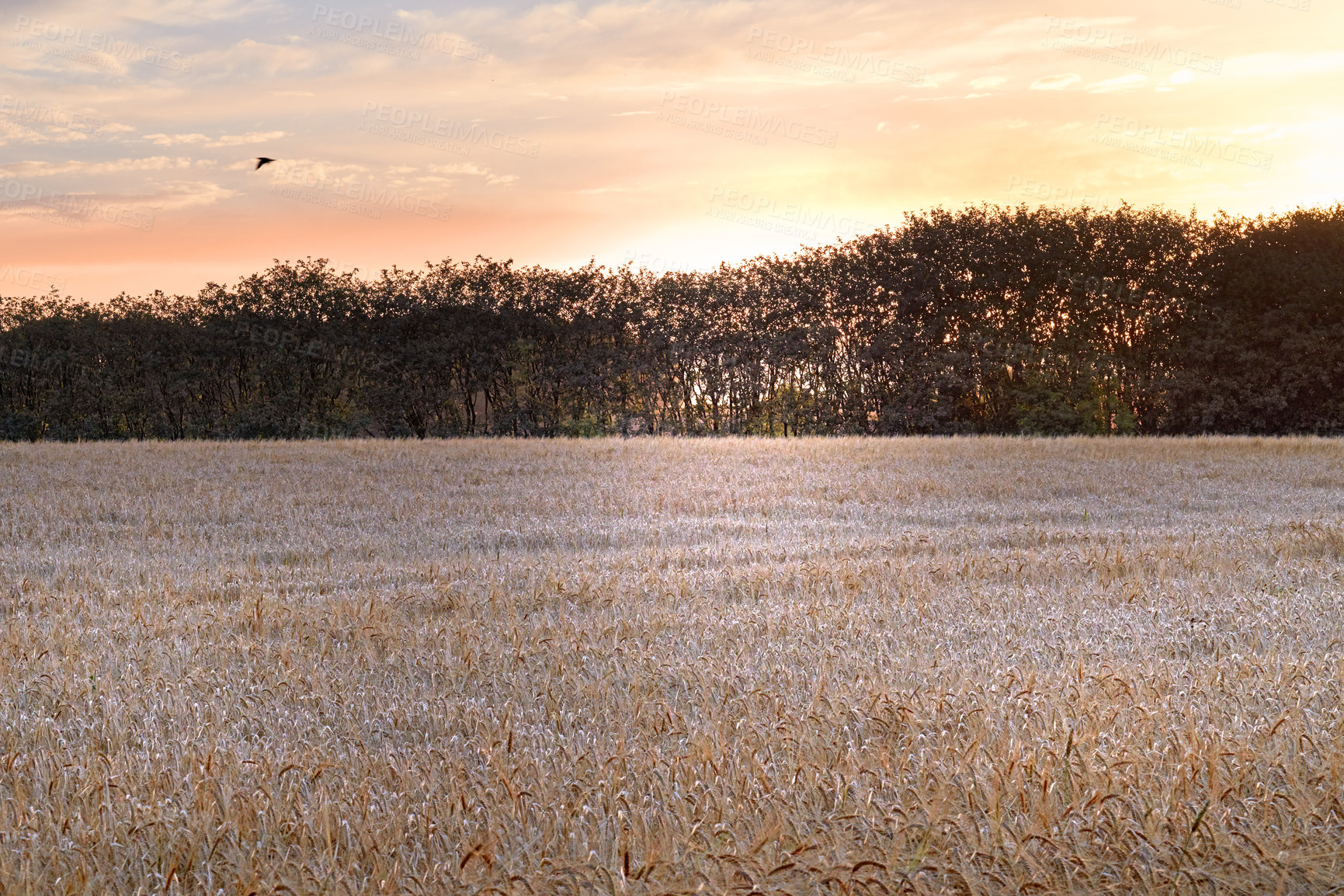 Buy stock photo Images from the Kingdom of Denmark