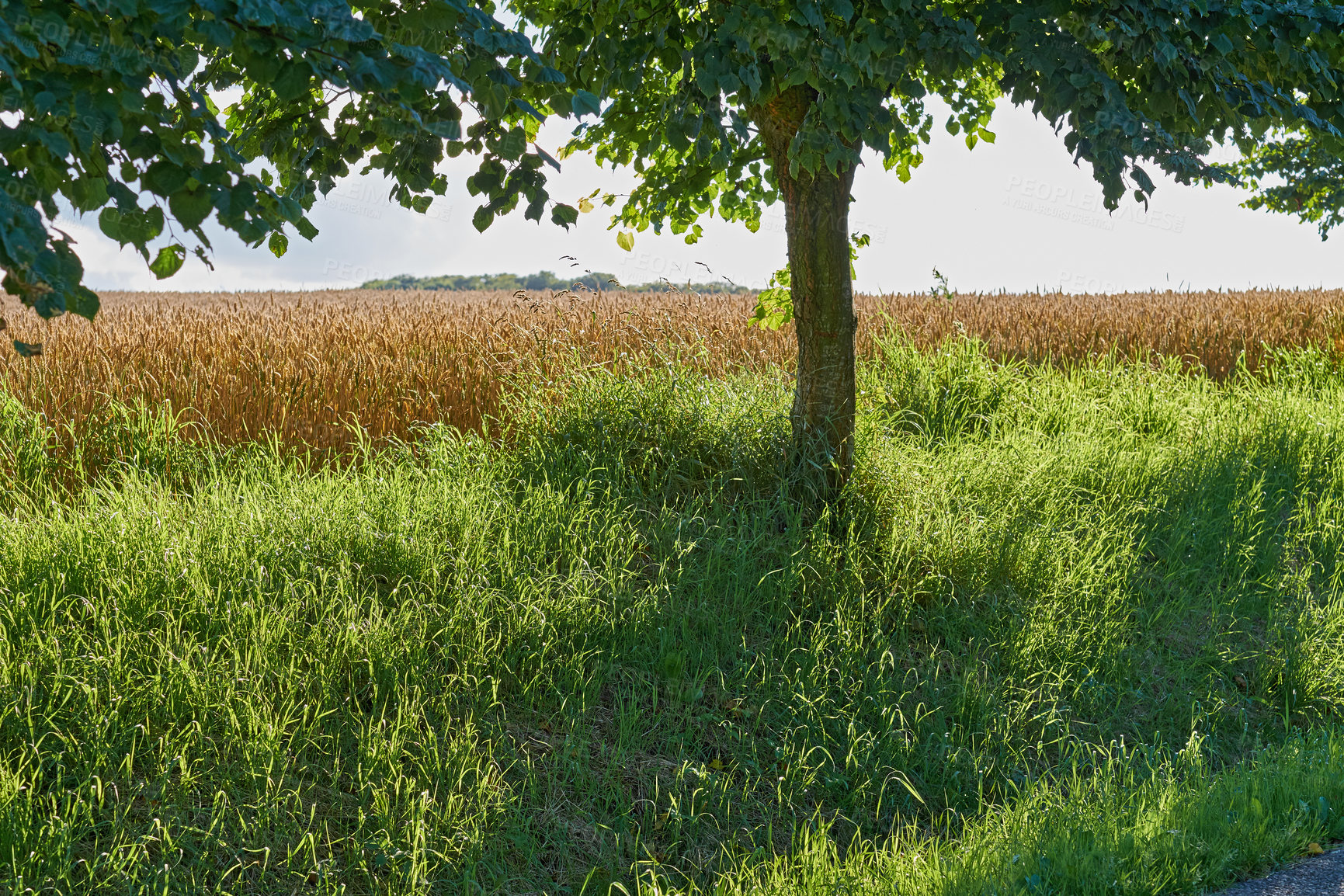 Buy stock photo Images from the Kingdom of Denmark