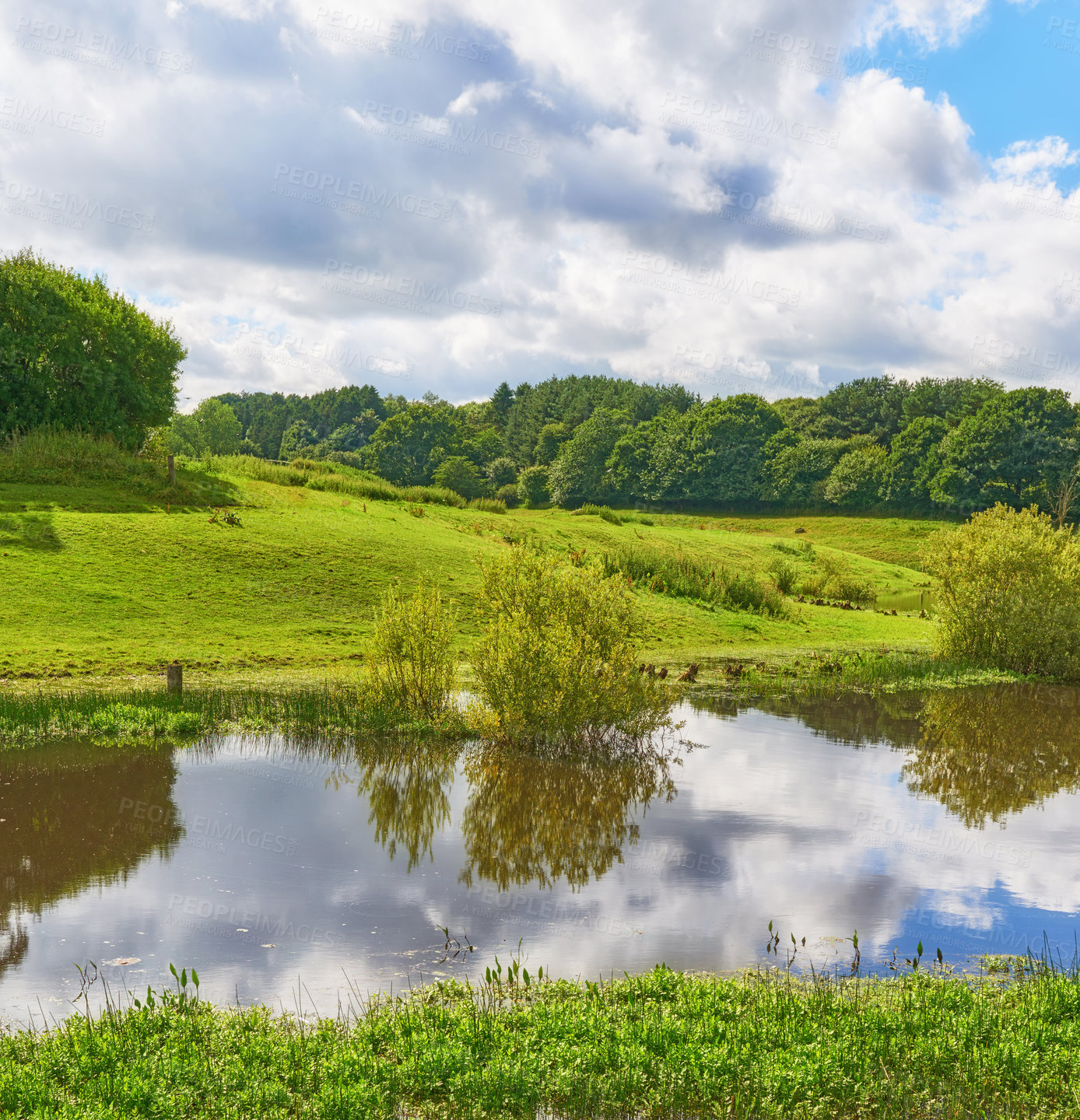 Buy stock photo Nature, lake and grass field with cloudy sky for natural scenery, growth or outdoor foliage. Empty, pond or river with greenery, bushes or plants in wilderness for eco environment in countryside