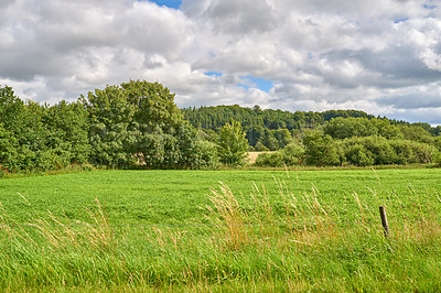 Buy stock photo Trees, grass field and nature with cloudy sky on farmland for natural growth or sustainability. Empty, landscape and foliage with greenery for eco friendly conservation or agriculture in countryside