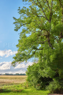 Buy stock photo Images from the Kingdom of Denmark