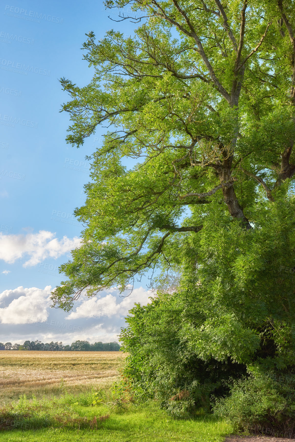 Buy stock photo Images from the Kingdom of Denmark