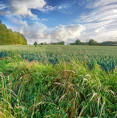 Buy stock photo Images from the Kingdom of Denmark