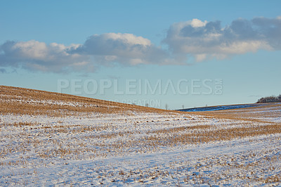 Buy stock photo Snow covered grass in field, farm or countryside on blue sky and clouds, agriculture or nature background. Global warming, drought and grass in Germany for sustainable landscape or climate change