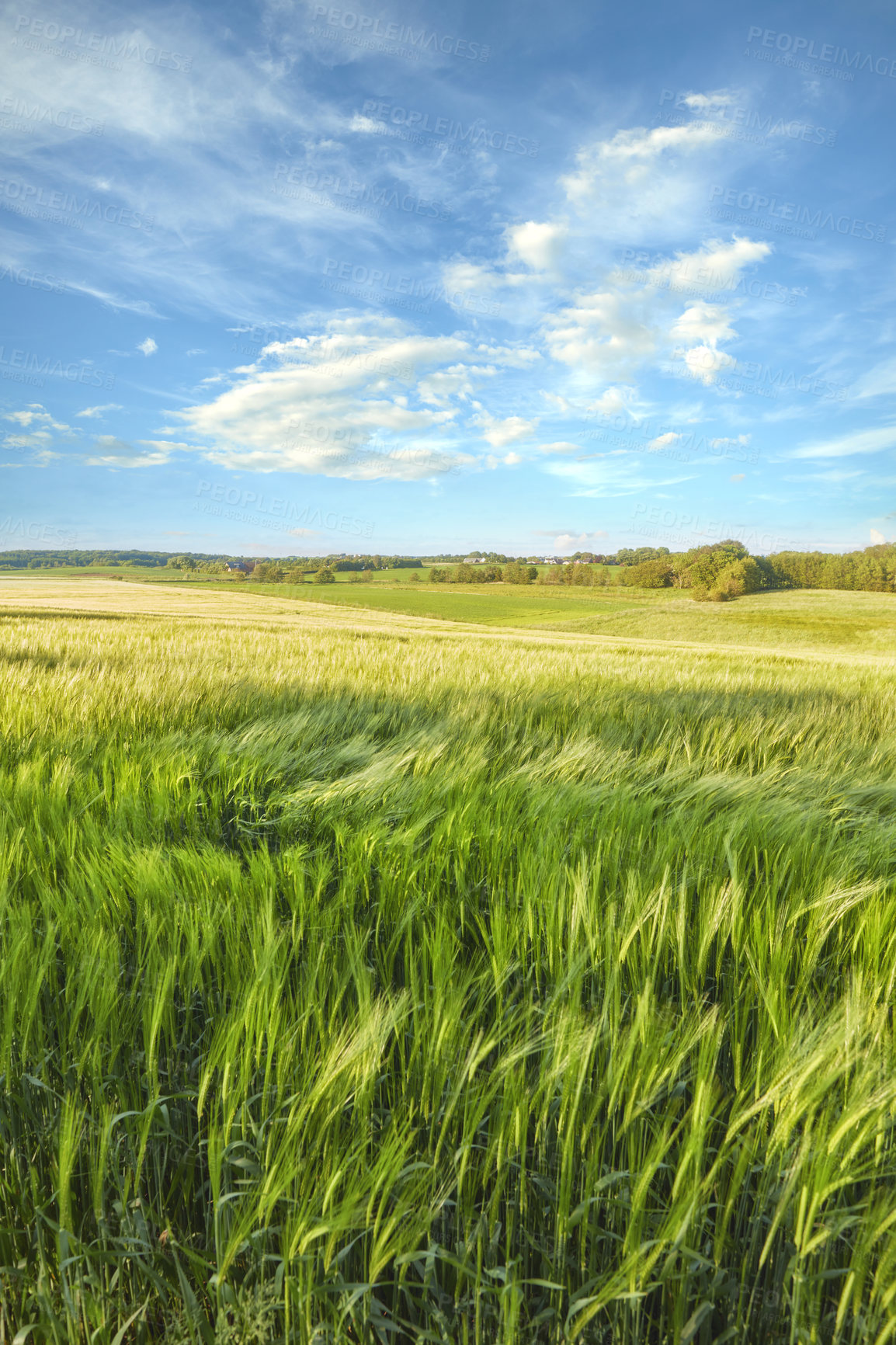 Buy stock photo Images from the Kingdom of Denmark