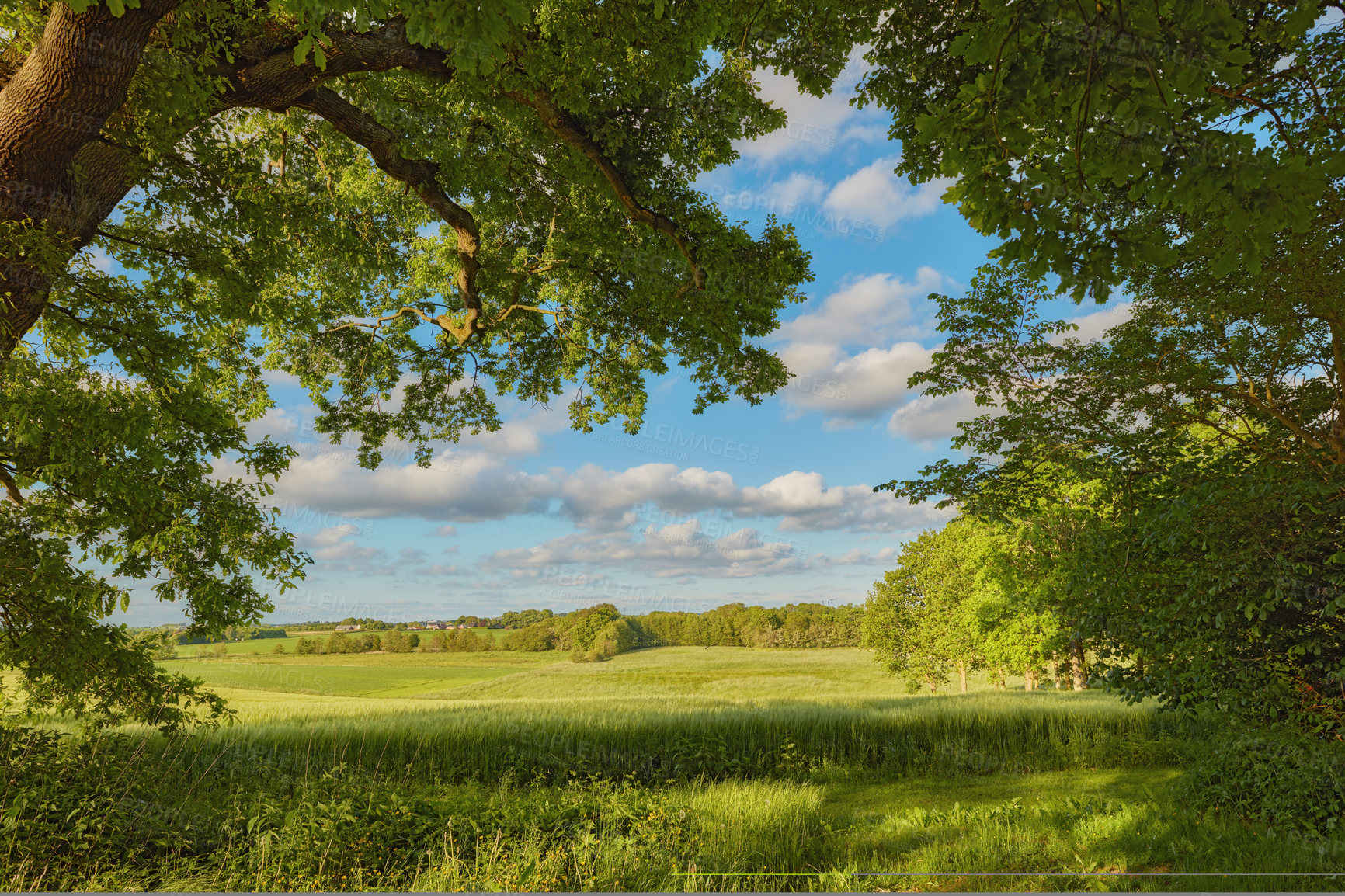 Buy stock photo Images from the Kingdom of Denmark