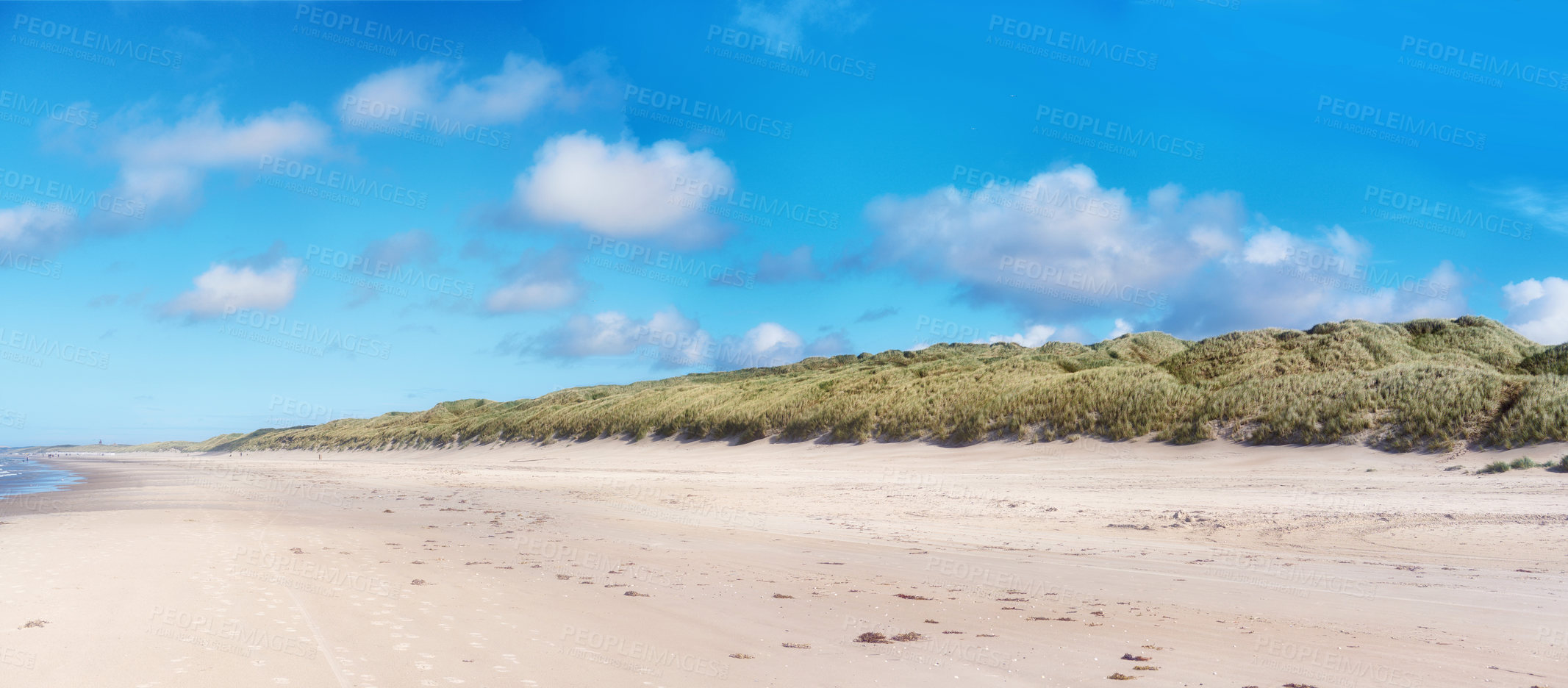 Buy stock photo Landscape, sky and plants on beach with sand, ecosystem and sustainability in nature banner. Coast, greenery and water in panorama for outdoor travel, natural dunes or habitat in Denmark with growth