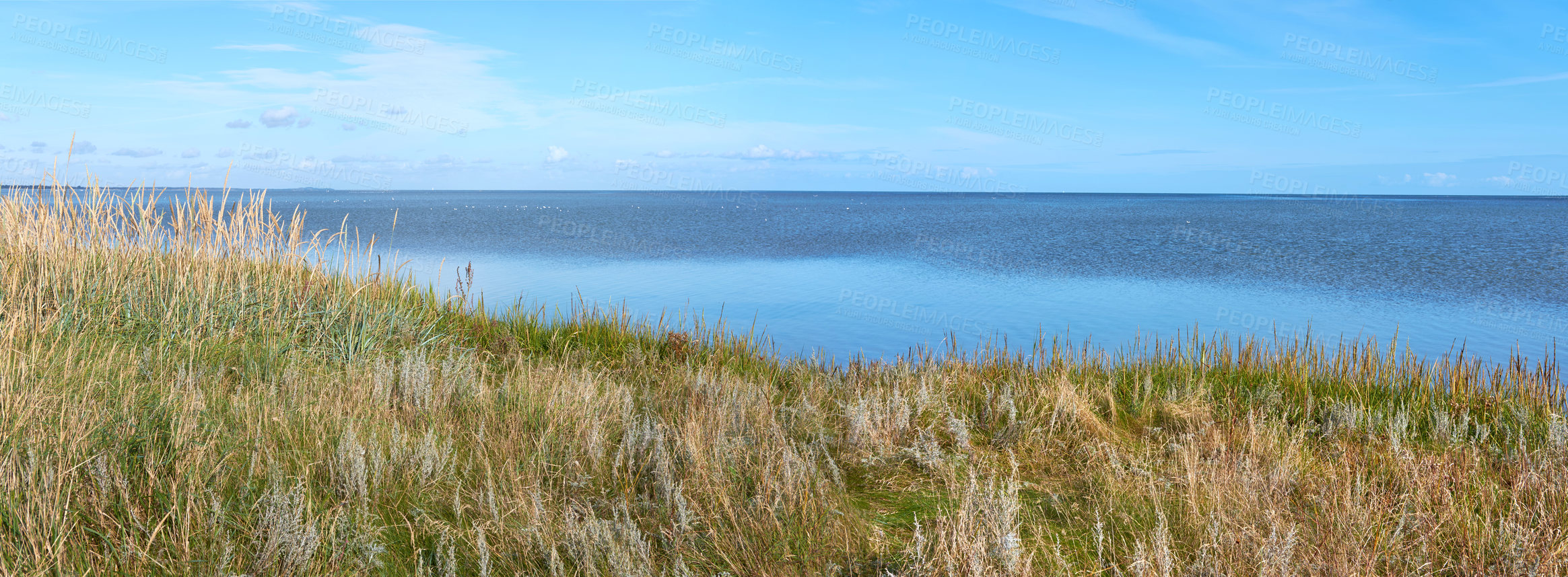 Buy stock photo Landscape, sky and grass at ocean with horizon, ecosystem and sustainability in nature banner. Seascape, greenery and water in panorama for outdoor travel, seaside and habitat in Denmark with growth